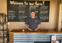 Desert Fungi: Canyon Creek Mushrooms Are Feeding The Coachella Valley